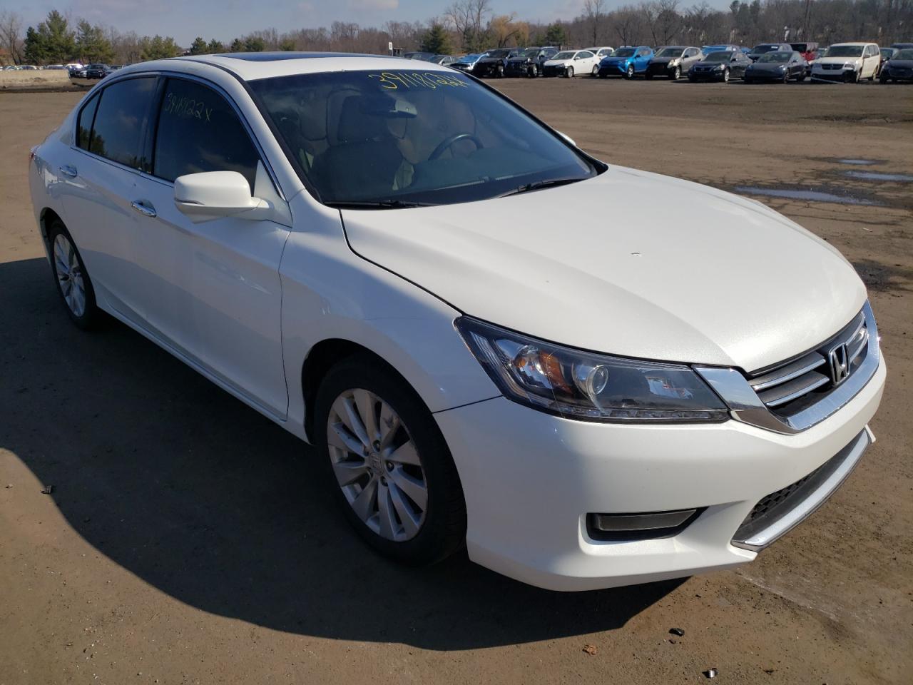 HONDA ACCORD EXL 2015 with VIN 1HGCR3F8XFA009083 - Photo from auction