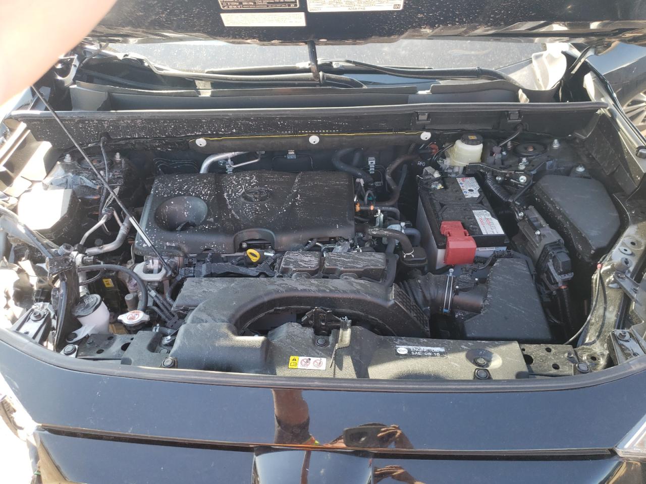 Photo 7 from auction – 2020 TOYOTA RAV4 XLE with VIN JTMP1RFV8LJ030476