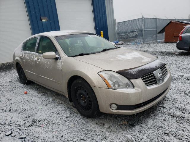 NISSAN MAXIMA SE 2006 with VIN 1N4BA41E56C822555 - Photo from auction