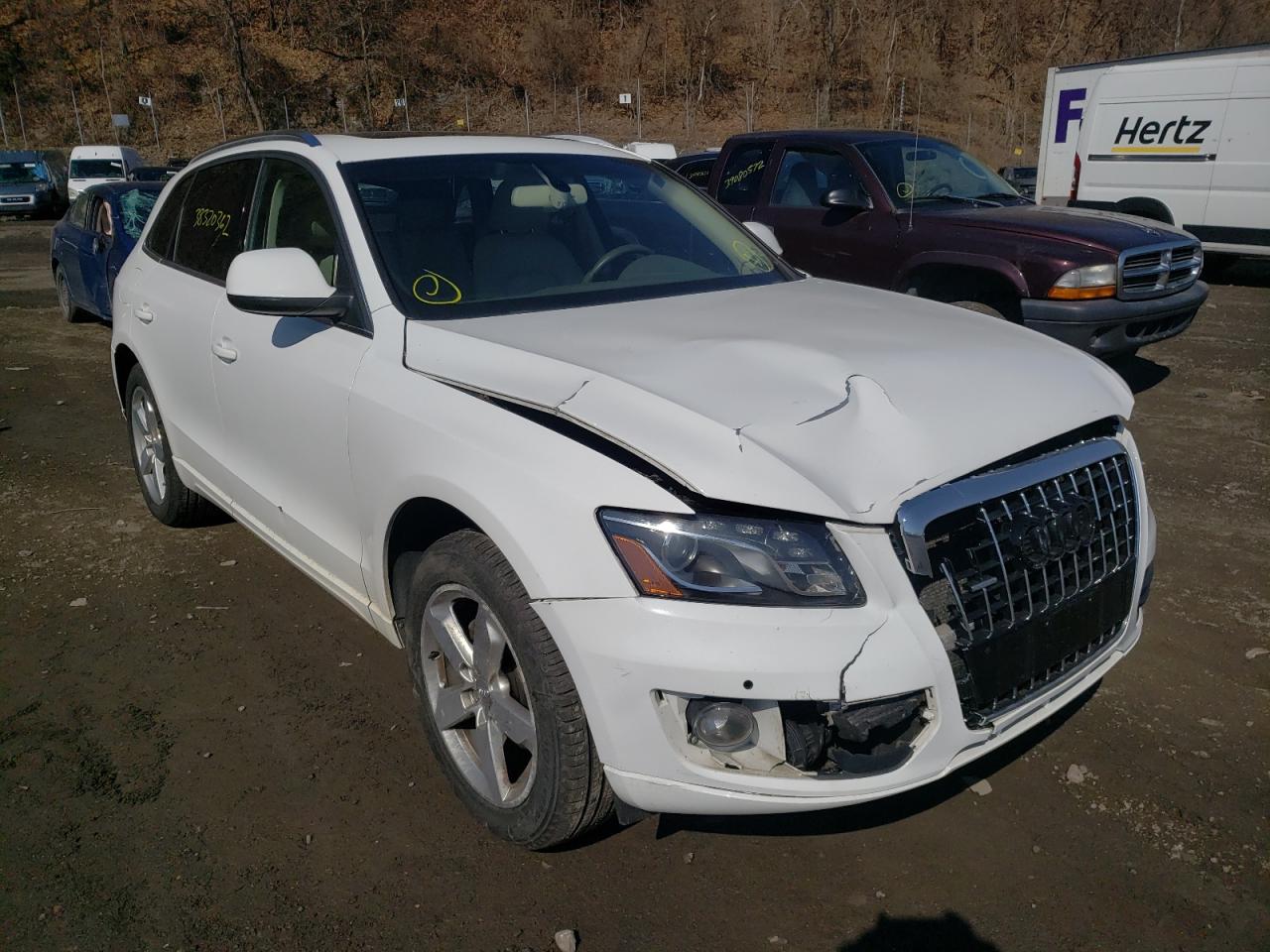 AUDI Q5 PRESTIG 2010 with VIN WA1VKAFP4AA022356 - Photo from auction