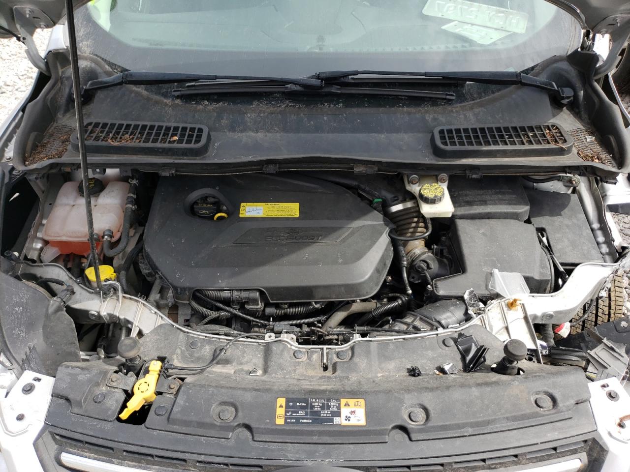 Photo 7 from auction – 2014 FORD ESCAPE SE with VIN 1FMCU0GX9EUA68751