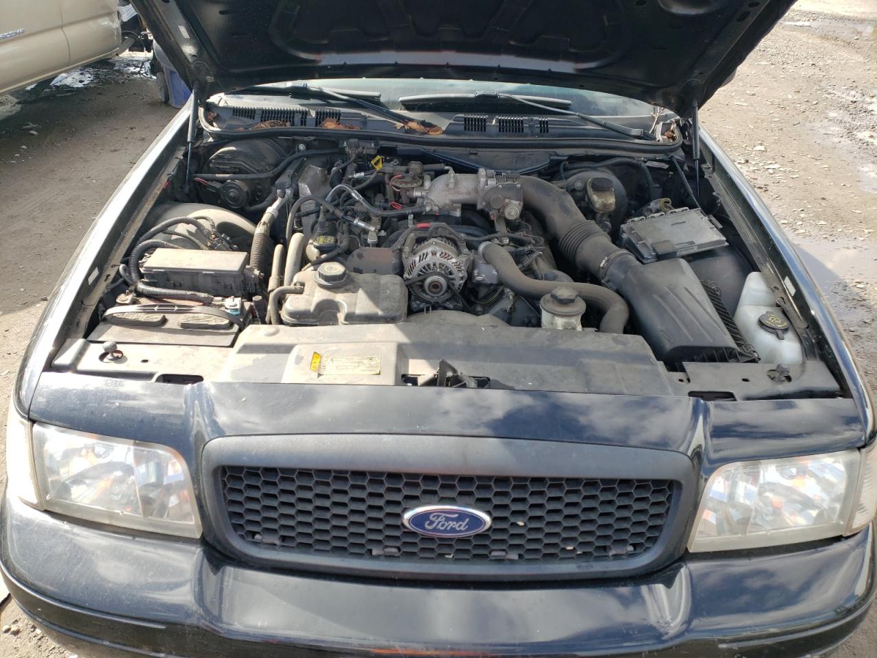 Photo 7 from auction – 2009 FORD CROWN VICT with VIN 2FAHP71V59X123508