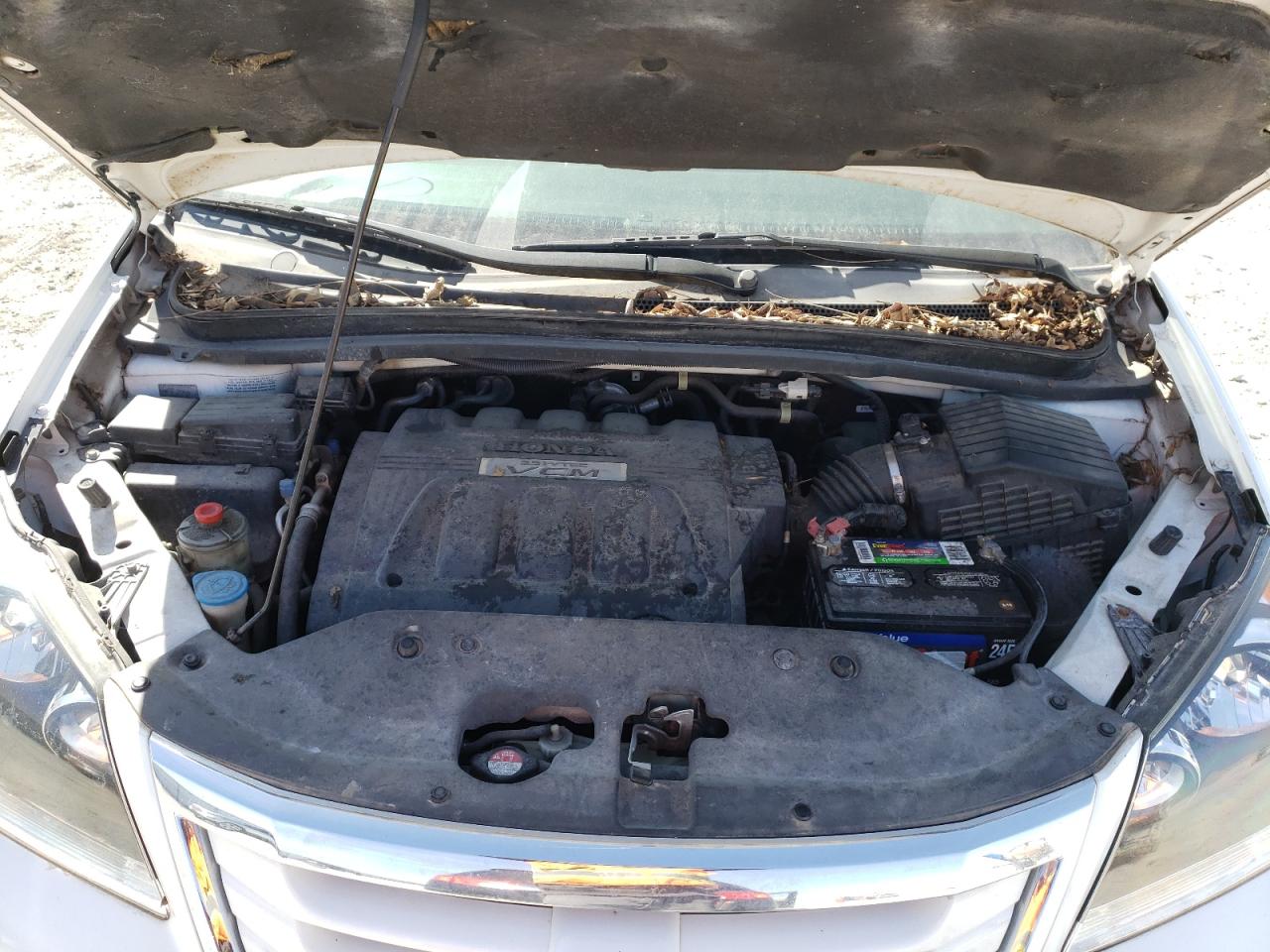 Photo 7 from auction – 2008 HONDA ODYSSEY EX with VIN 5FNRL38688B419283