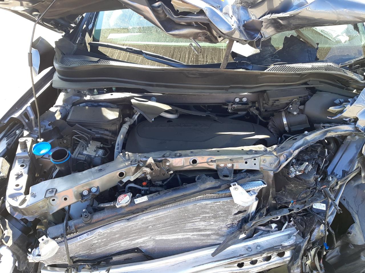 Photo 7 from auction – 2021 HONDA PILOT EXL with VIN 5FNYF6H53MB090773