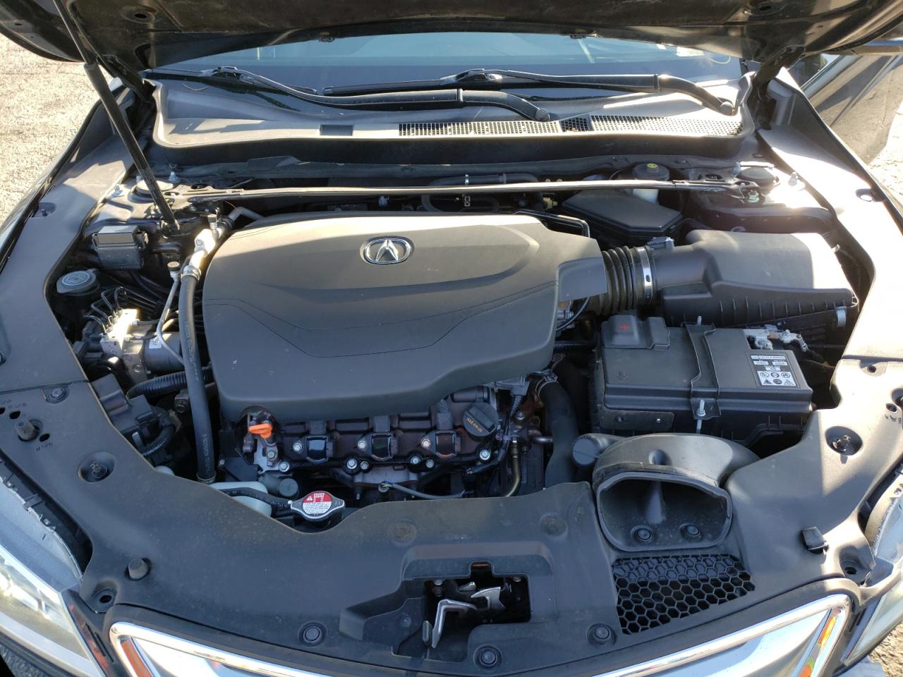 Photo 7 from auction – 2015 ACURA TLX ADVANC with VIN 19UUB2F79FA016911