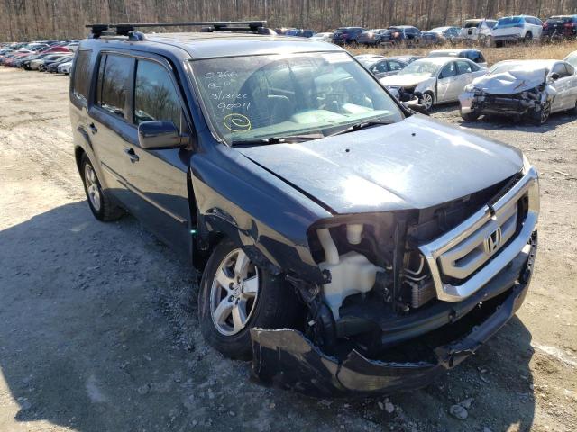 HONDA PILOT EXLN 2011 with VIN 5FNYF4H71BB060366 - Photo from auction