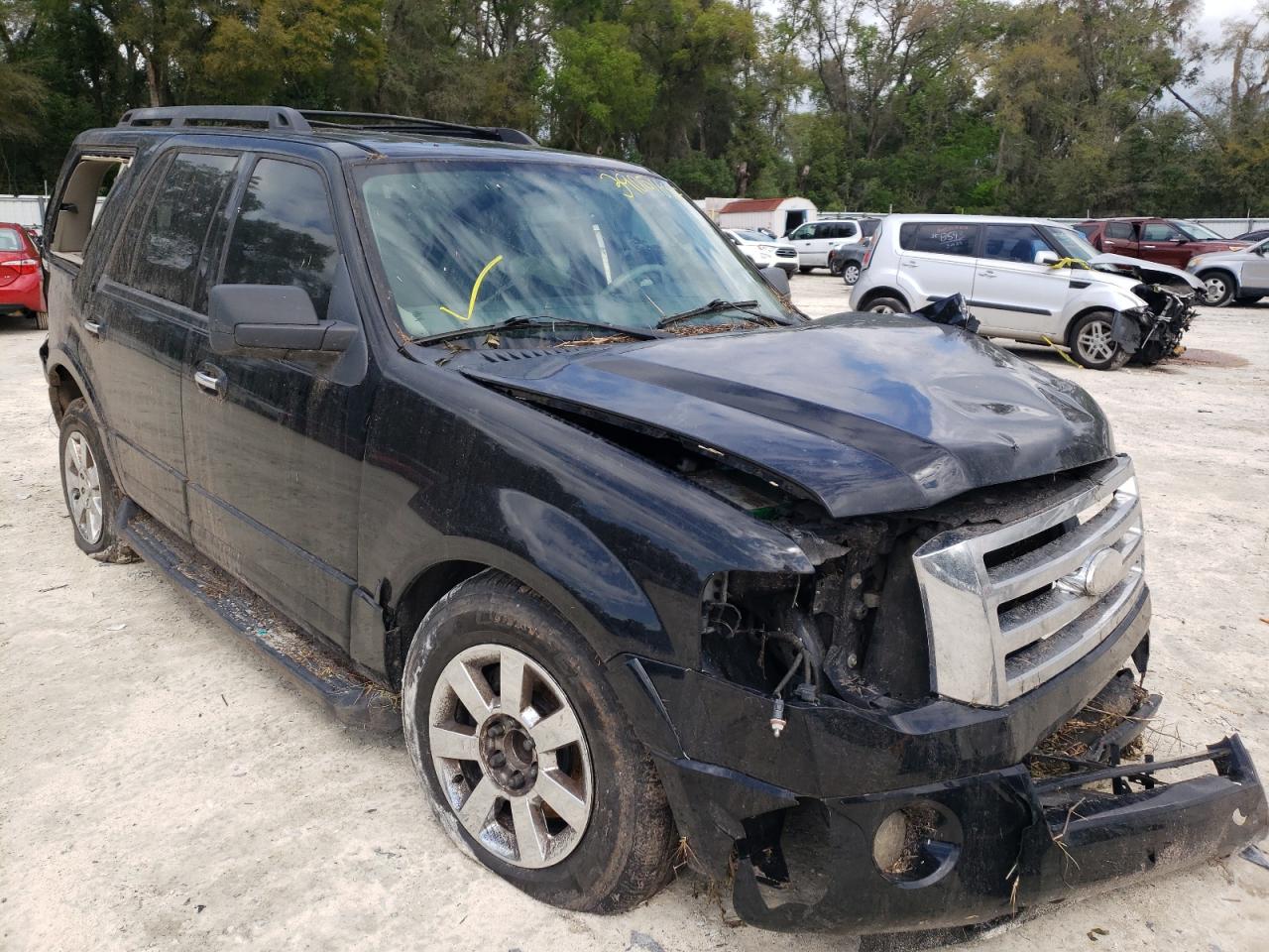 FORD EXPEDITION 2009 with VIN 1FMFU16569EB27337 - Photo from auction