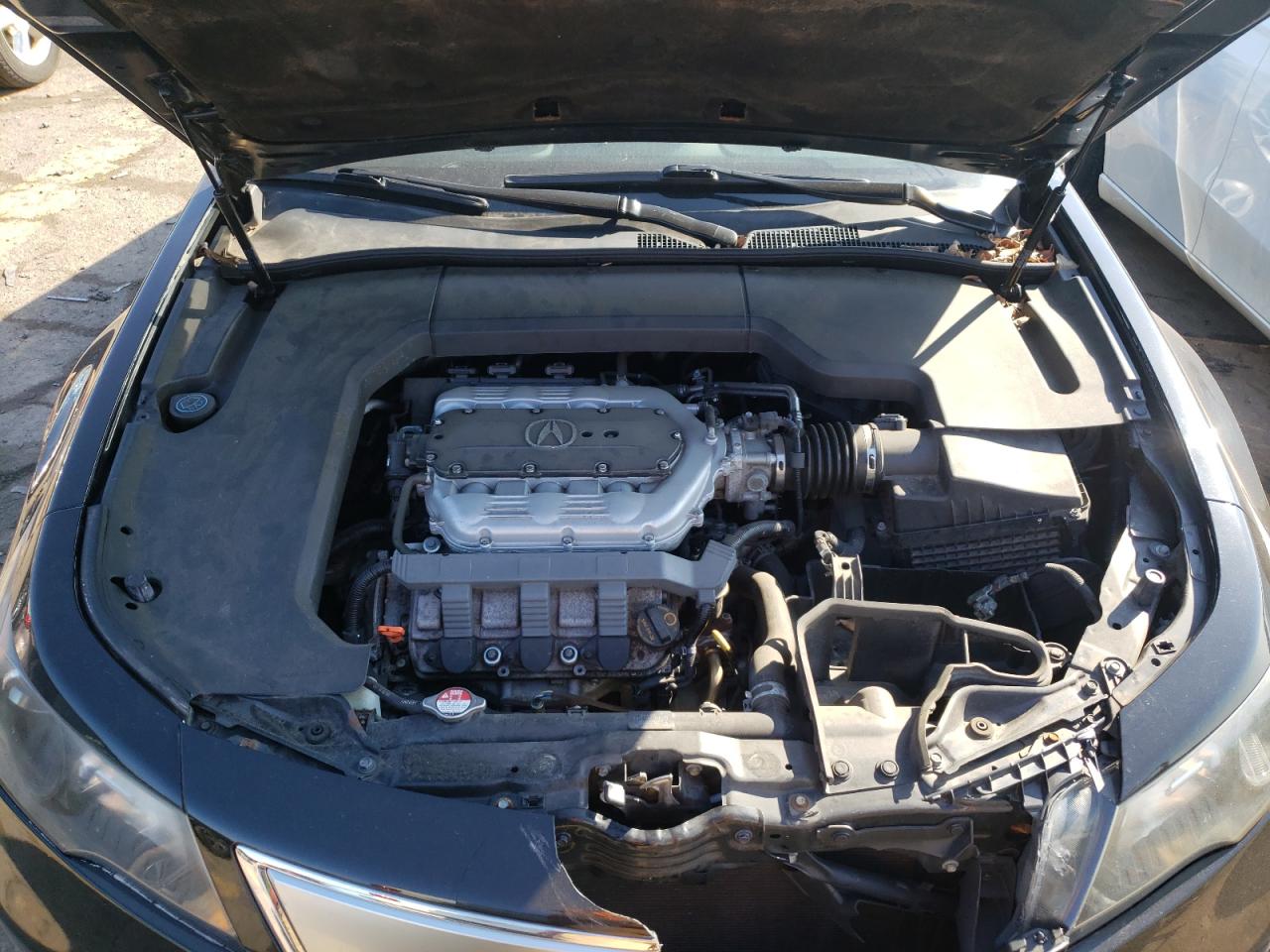 Photo 7 from auction – 2012 ACURA TL with VIN 19UUA8F25CA020864