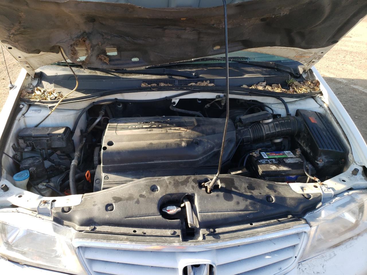 Photo 7 from auction – 2003 HONDA ODYSSEY EX with VIN 5FNRL18033B035873