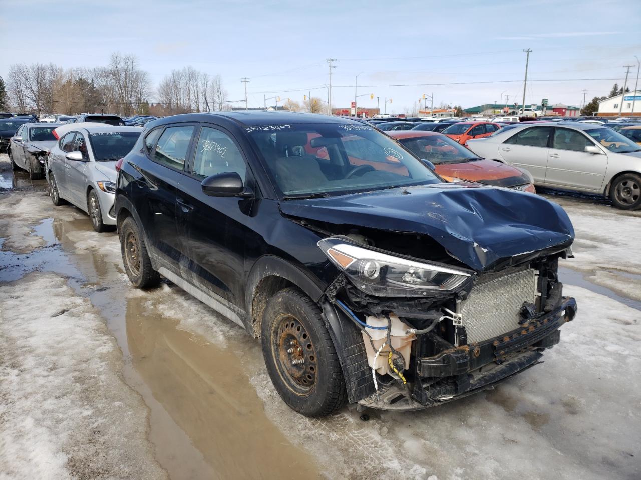 HYUNDAI TUCSON SE 2017 with VIN KM8J2CA40HU447669 - Photo from auction