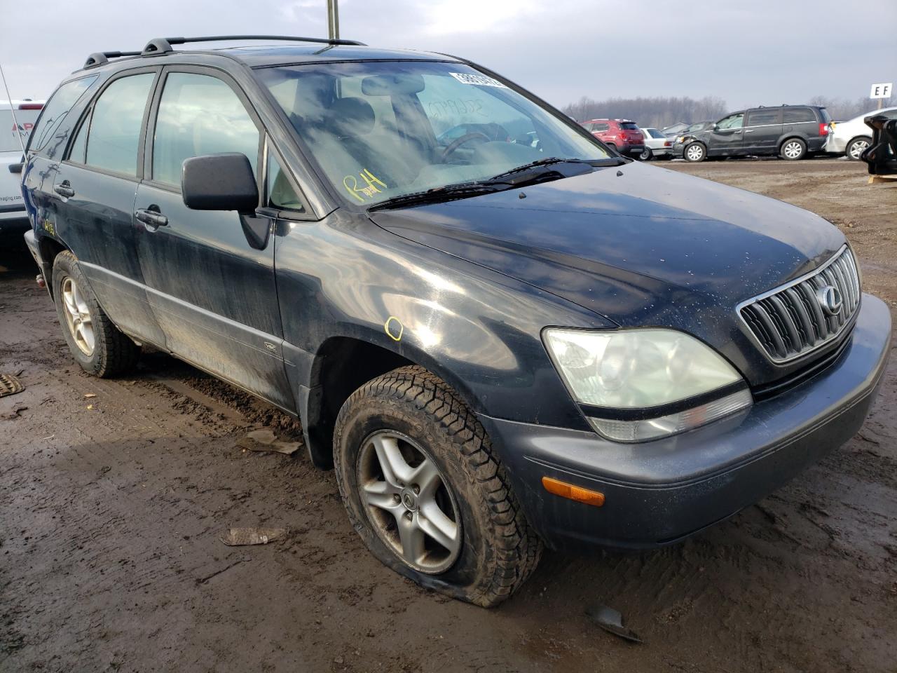 LEXUS RX 300 2002 with VIN JTJHF10U920241131 - Photo from auction