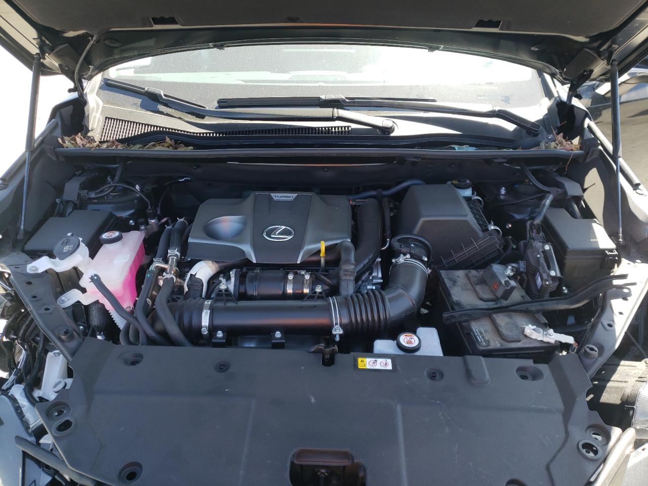 Photo 7 from auction – 2021 LEXUS NX 300 BAS with VIN JTJDARBZ0M5035819