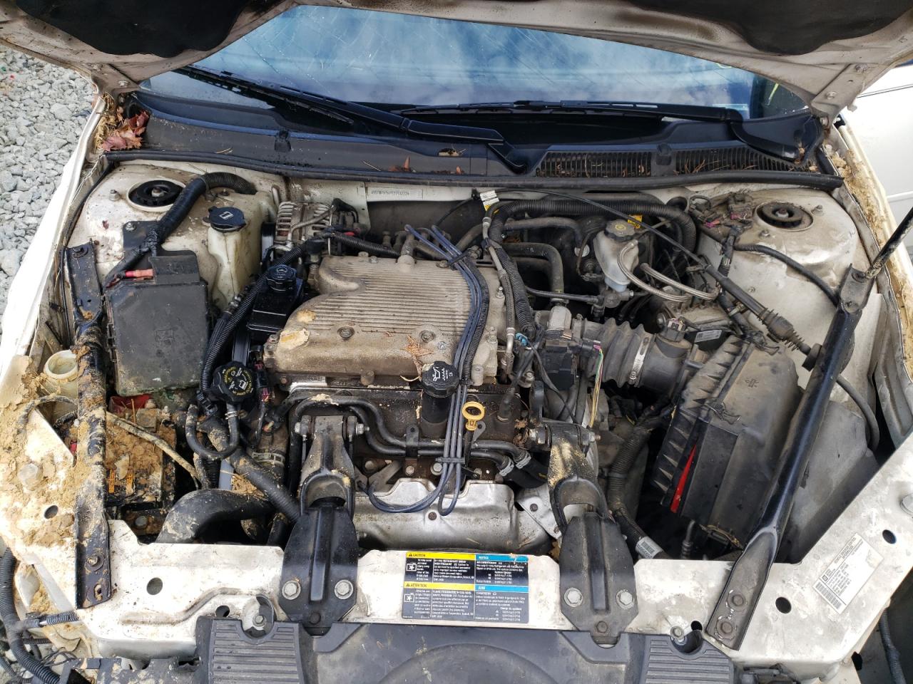 Photo 7 from auction – 2009 CHEVROLET IMPALA 1LT with VIN 2G1WT57K491193222