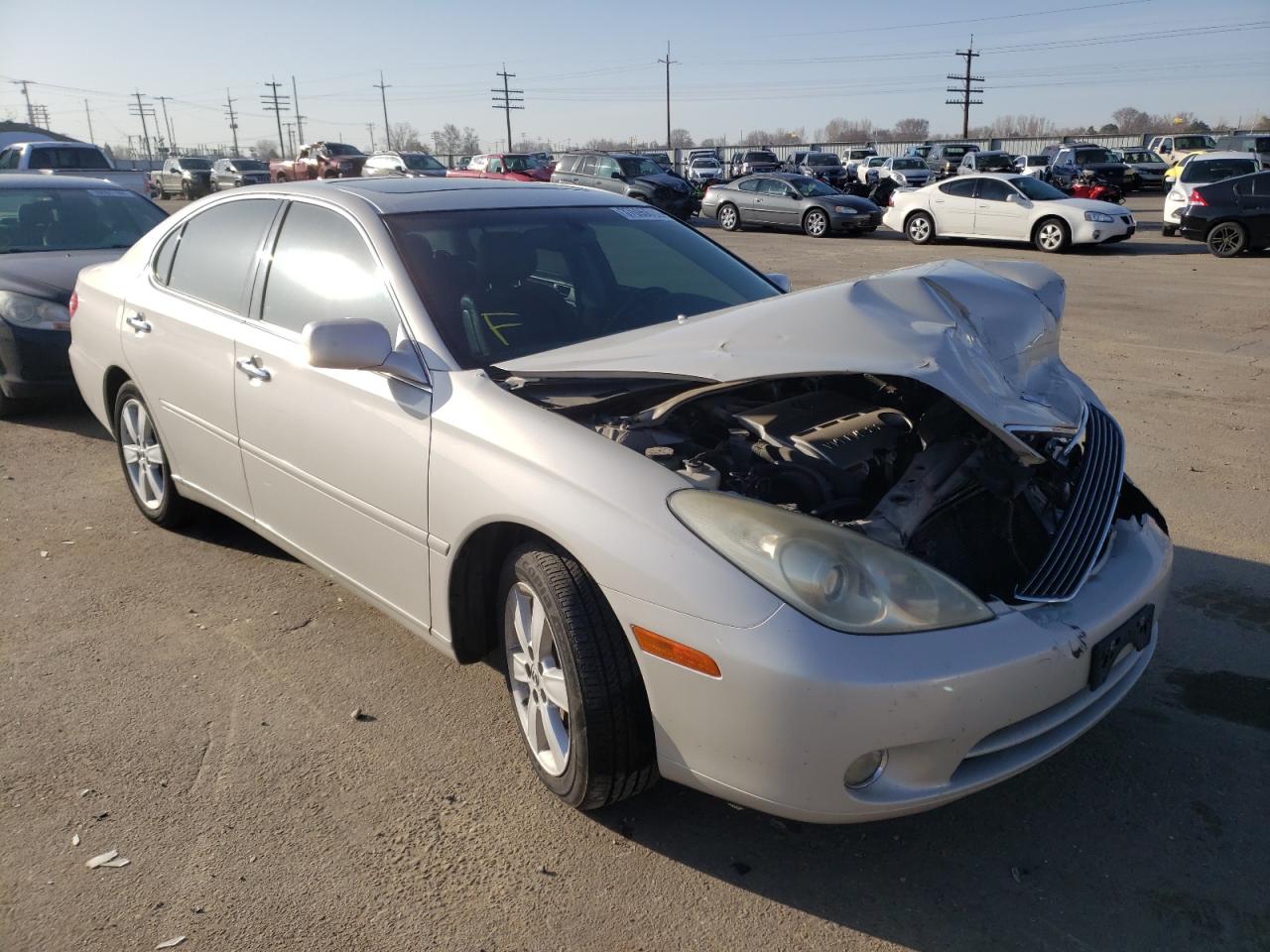 LEXUS ES 330 2005 with VIN JTHBA30G555083793 - Photo from auction