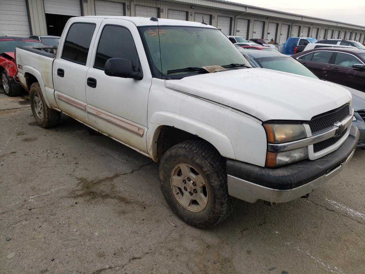 CHEVROLET SILVERADO 2005 with VIN 2GCEK13T551275600 - Photo from auction