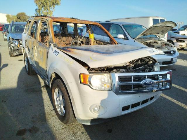 FORD ESCAPE XLT 2010 with VIN 1FMCU0D7XAKA86394 - Photo from auction