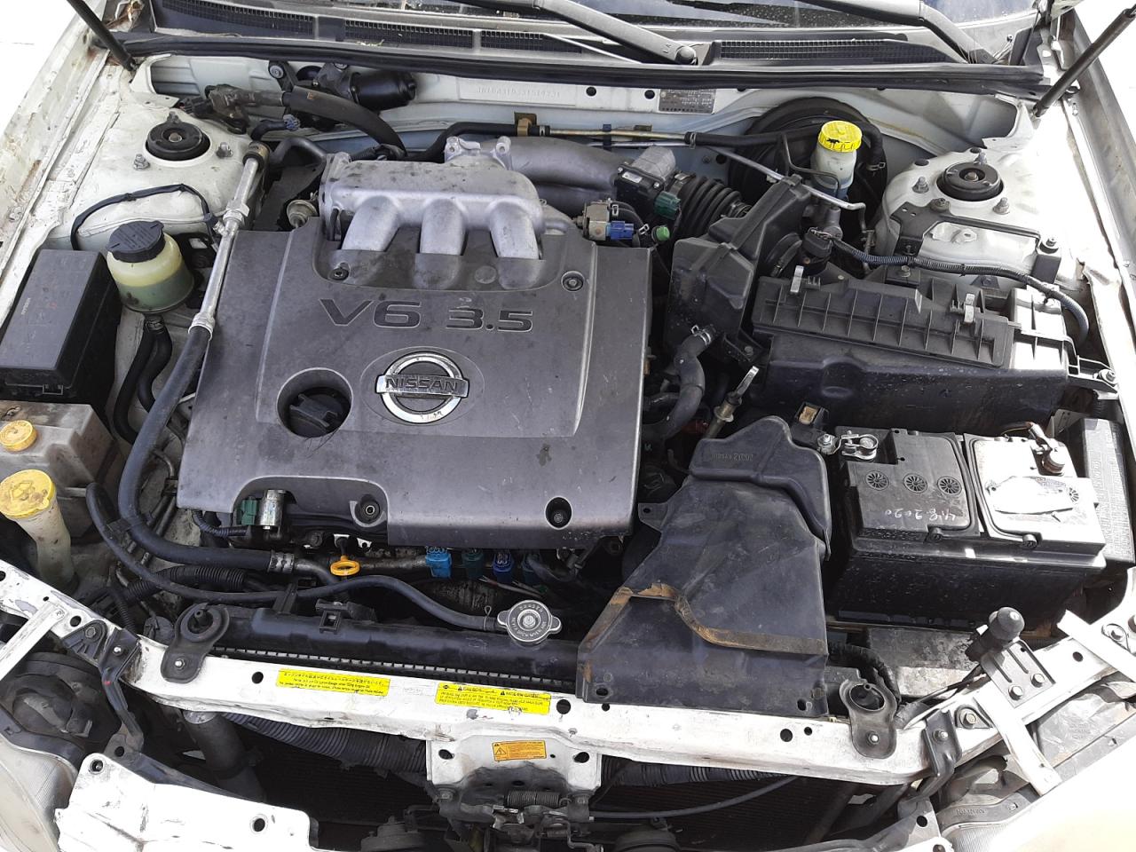 Photo 7 from auction – 2003 NISSAN MAXIMA GLE with VIN JN1DA31D33T519731