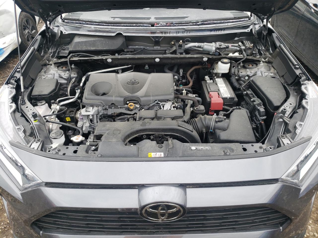 Photo 7 from auction – 2019 TOYOTA RAV4 XLE P with VIN 2T3A1RFV3KC019263