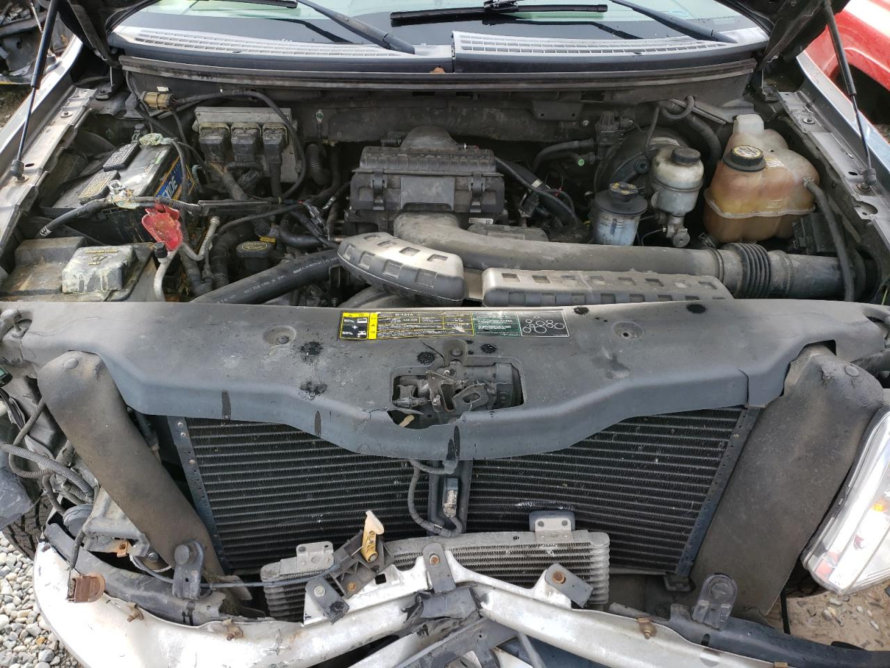 Photo 7 from auction – 2004 FORD F150 with VIN 1FTPX145X4NA51441