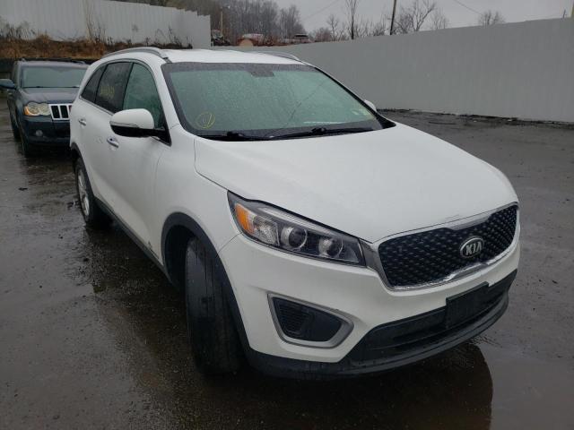 KIA SORENTO LX 2017 with VIN 5XYPGDA52HG315738 - Photo from auction