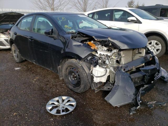 TOYOTA COROLLA L 2016 with VIN 2T1BURHE8GC622752 - Photo from auction