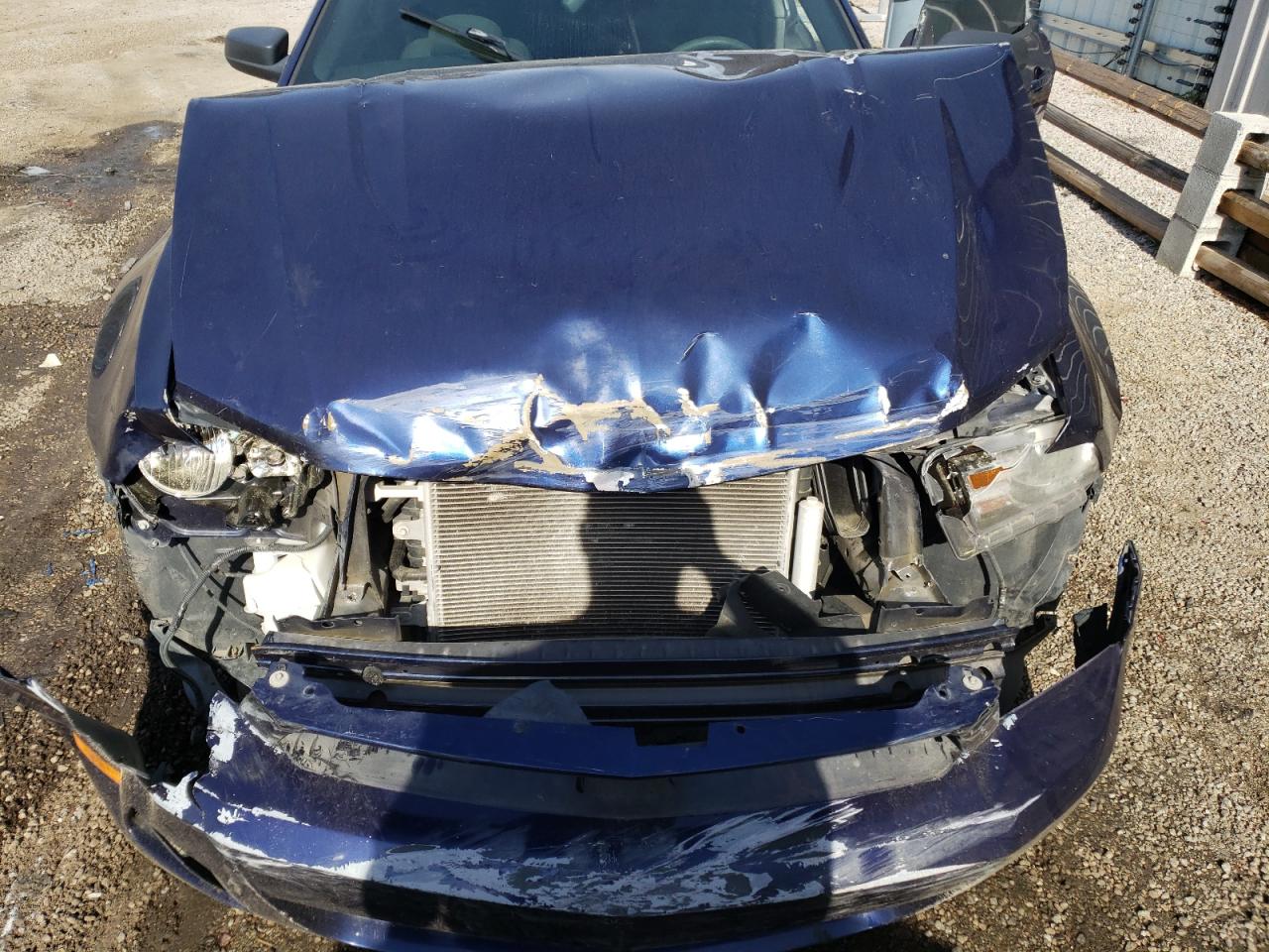 Photo 7 from auction – 2011 FORD MUSTANG with VIN 1ZVBP8AM8B5118949