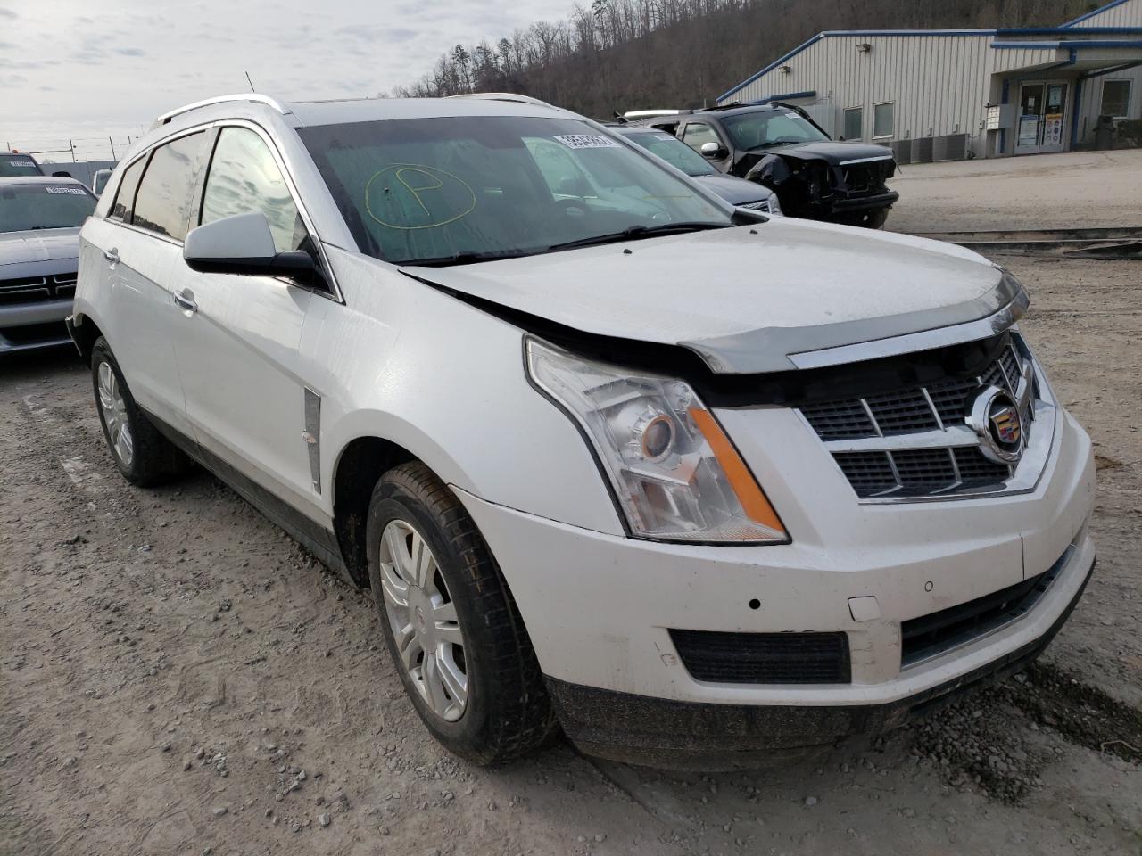 CADILLAC SRX LUXURY 2011 with VIN 3GYFNDEY5BS555341 - Photo from auction