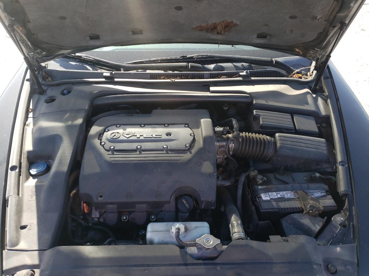 Photo 7 from auction – 2003 ACURA TL with VIN 19UUA66224A015675