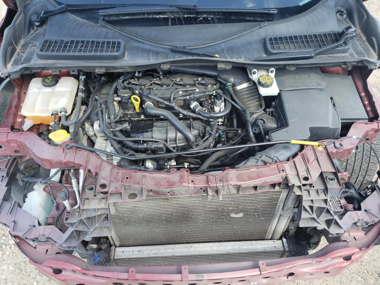 Photo 7 from auction – 2014 FORD ESCAPE with VIN 1FMCU0GX7EUB22712