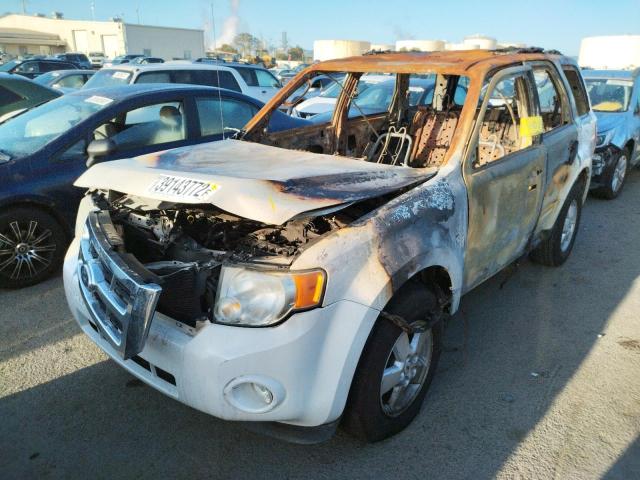 Photo 2 from auction – 2010 FORD ESCAPE XLT with VIN 1FMCU0D7XAKA86394