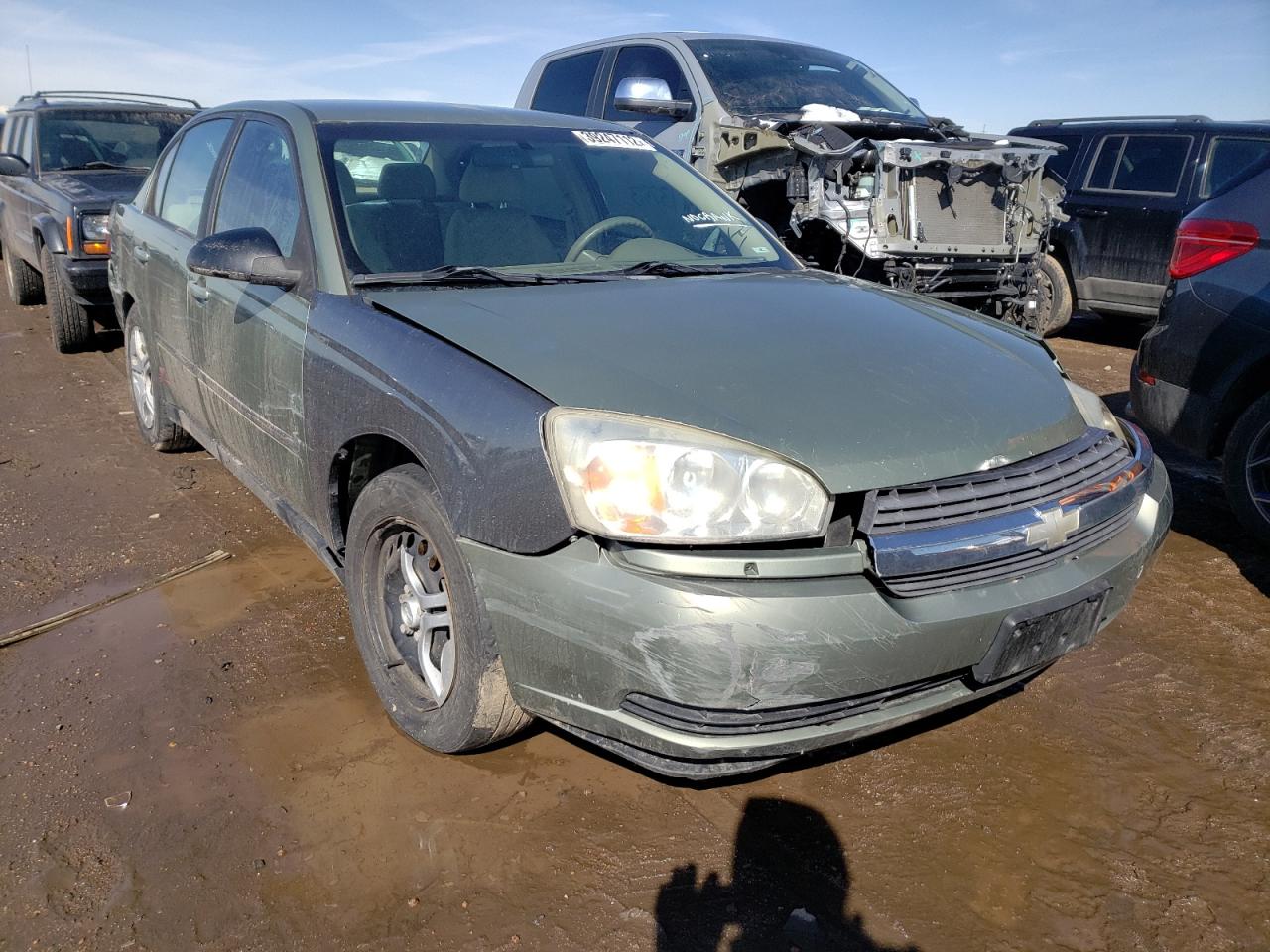 CHEVROLET MALIBU 2004 with VIN 1G1ZS52854F178113 - Photo from auction