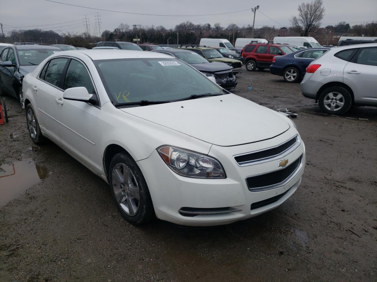 CHEVROLET MALIBU 2LT 2011 with VIN 1G1ZD5EU8BF150337 - Photo from auction