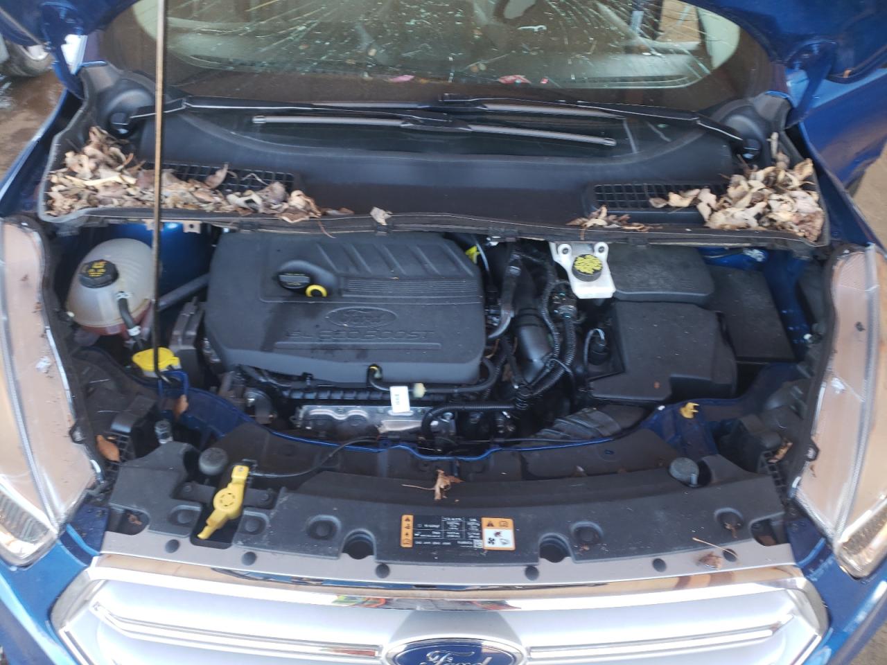 Photo 7 from auction – 2018 FORD ESCAPE SE with VIN 1FMCU0GD0JUC84696