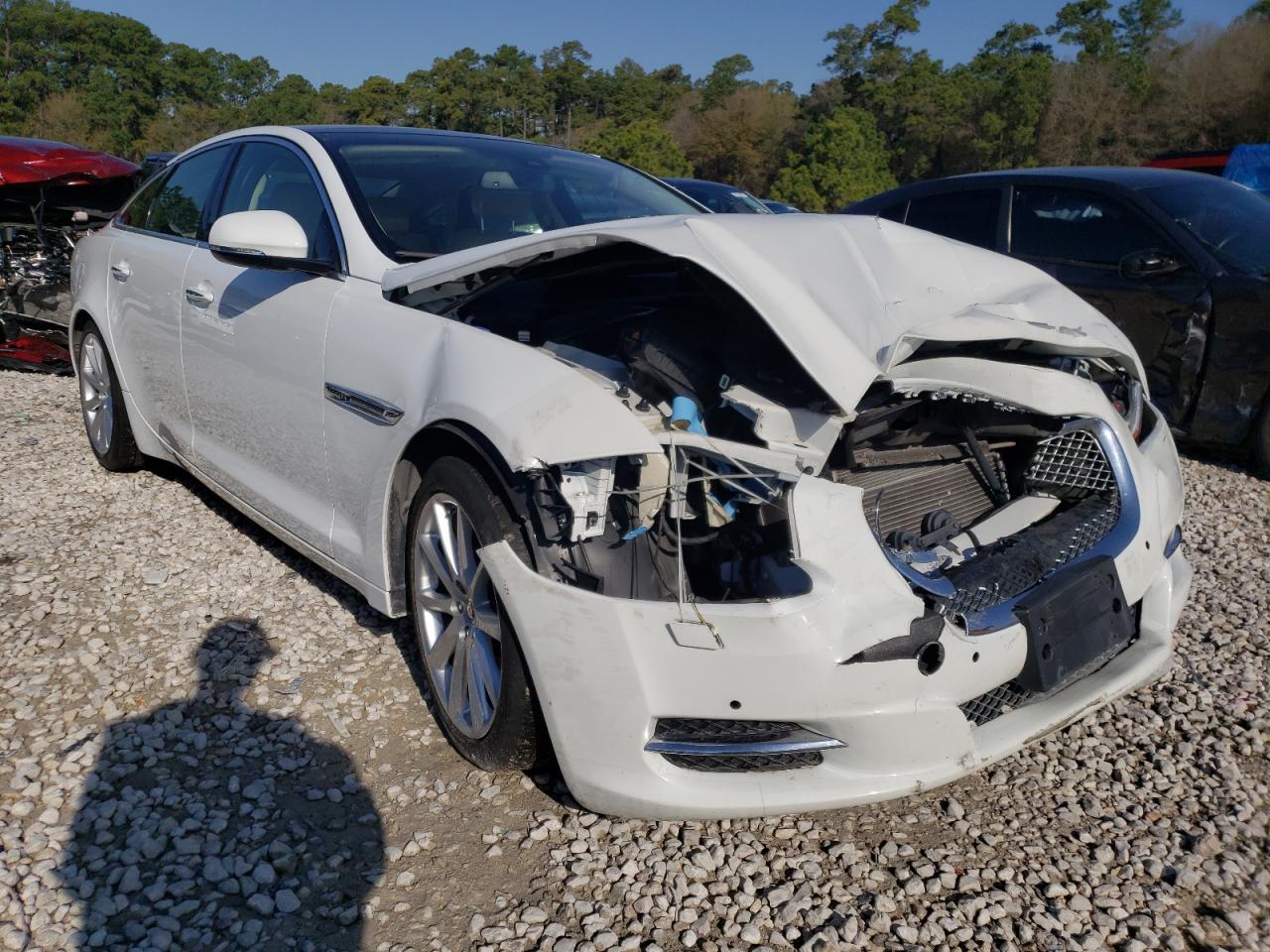 JAGUAR XJ 2013 with VIN SAJWA1C71D8V43906 - Photo from auction