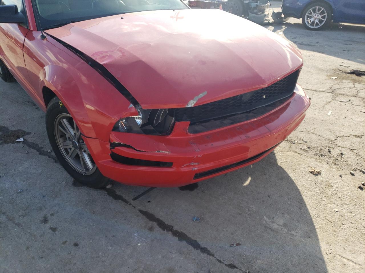 Photo 9 from auction – 2006 FORD MUSTANG with VIN 1ZVFT80NX65263164