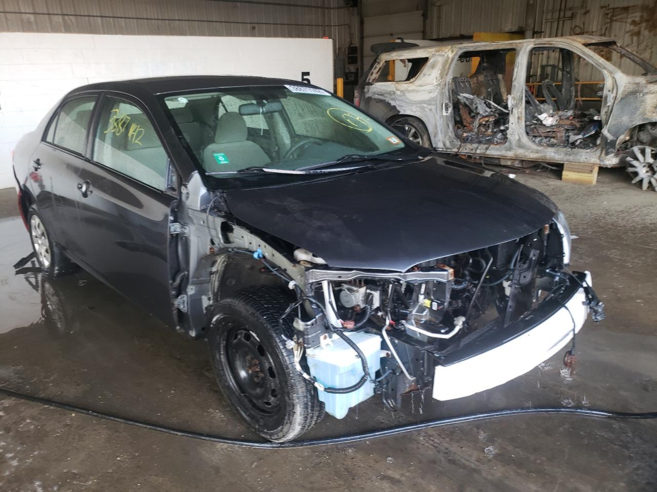 TOYOTA COROLLA BA 2009 with VIN JTDBL40E499019226 - Photo from auction