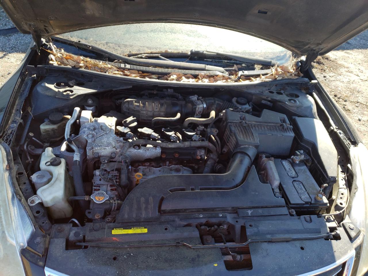 Photo 7 from auction – 2010 NISSAN ALTIMA BAS with VIN 1N4AL2AP8AN402913