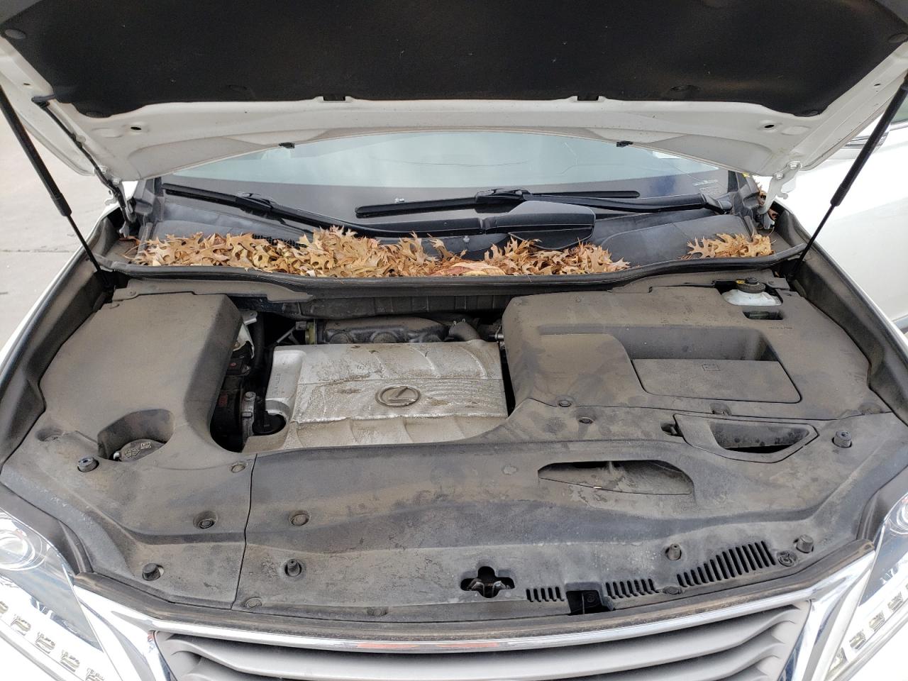 Photo 7 from auction – 2014 LEXUS RX 350 with VIN JTJZK1BA3E2010379