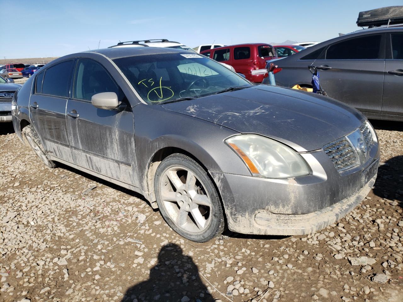 NISSAN MAXIMA 2006 with VIN 1N4BA41EX6C832319 - Photo from auction