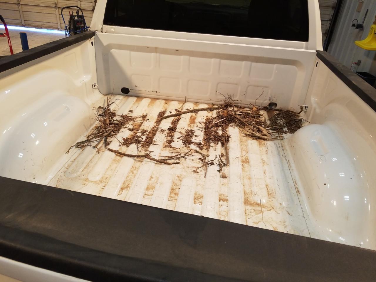 Photo 6 from auction – 2016 RAM 1500 ST with VIN 3C6JR6AG2GG318157