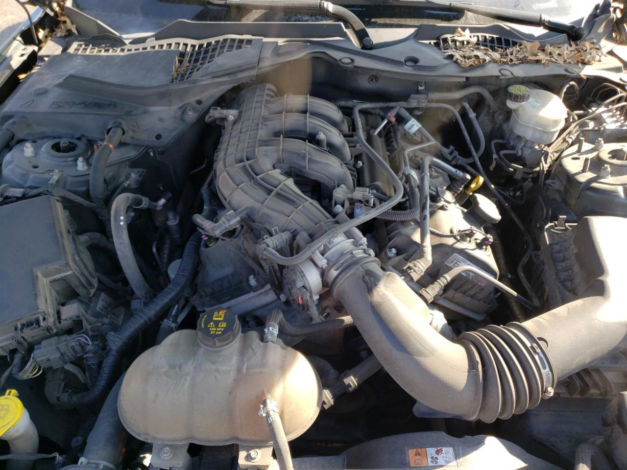Photo 7 from auction – 2015 FORD MUSTANG with VIN 1FA6P8AM1F5376147