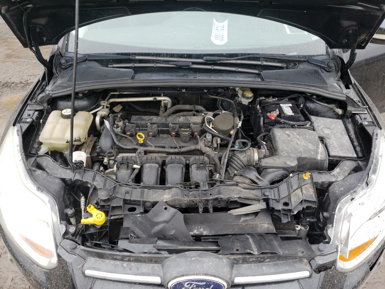 Photo 7 from auction – 2014 FORD FOCUS SE with VIN 1FADP3F21EL164571