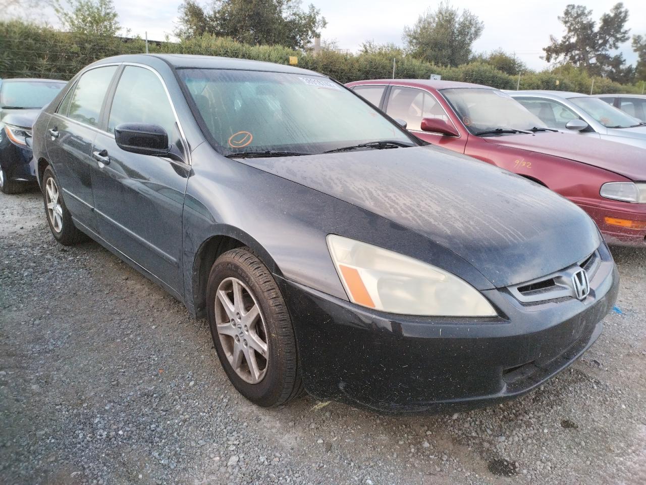 HONDA ACCORD EX 2003 with VIN 1HGCM66543A102733 - Photo from auction