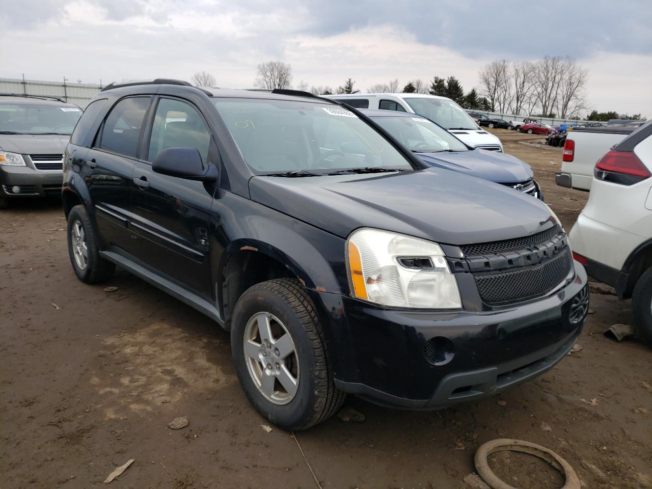 CHEVROLET EQUINOX LS 2009 with VIN 2CNDL23F796220983 - Photo from auction