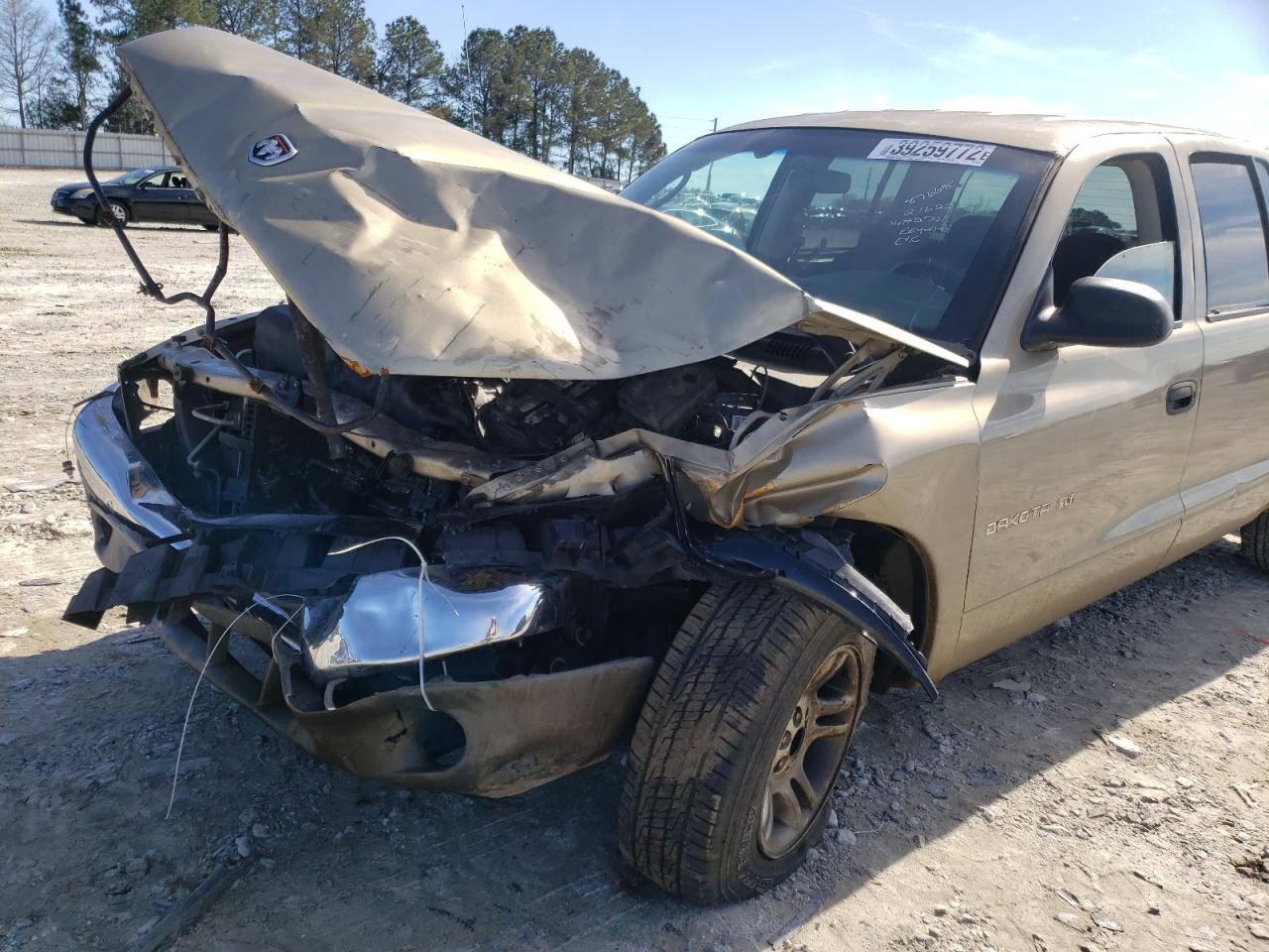 Фото 9 с аукциона – 2001 DODGE DAKOTA QUA с VIN 1B7HL2AX71S322741
