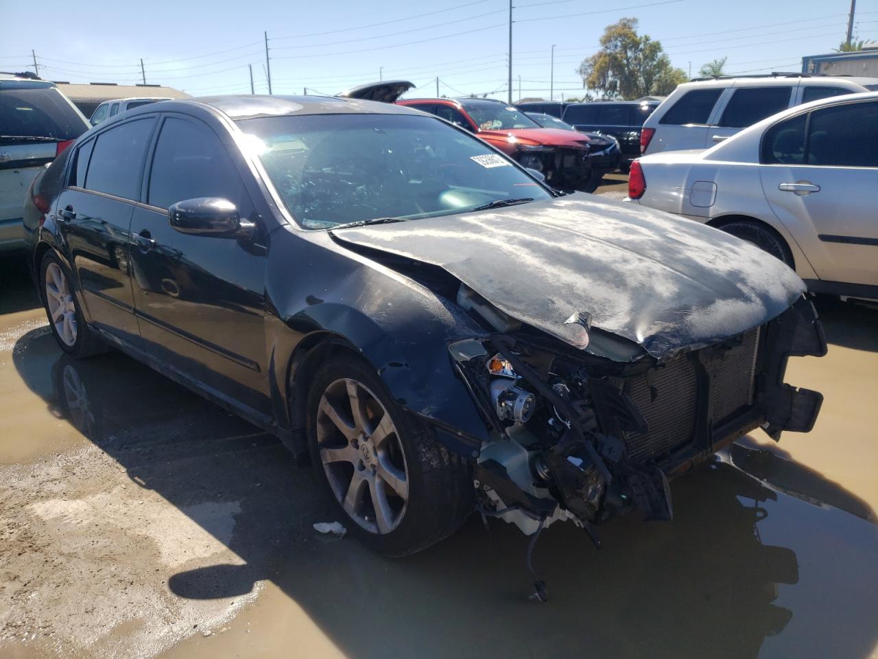 NISSAN MAXIMA SE 2008 with VIN 1N4BA41E18C812673 - Photo from auction
