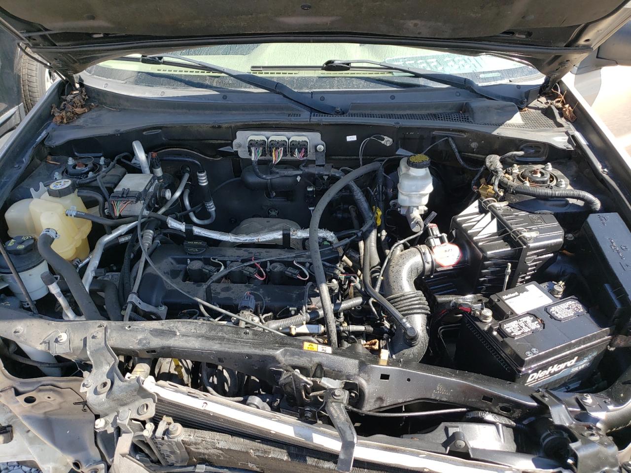 Photo 7 from auction – 2007 FORD ESCAPE XLT with VIN 1FMYU03Z97KA04852