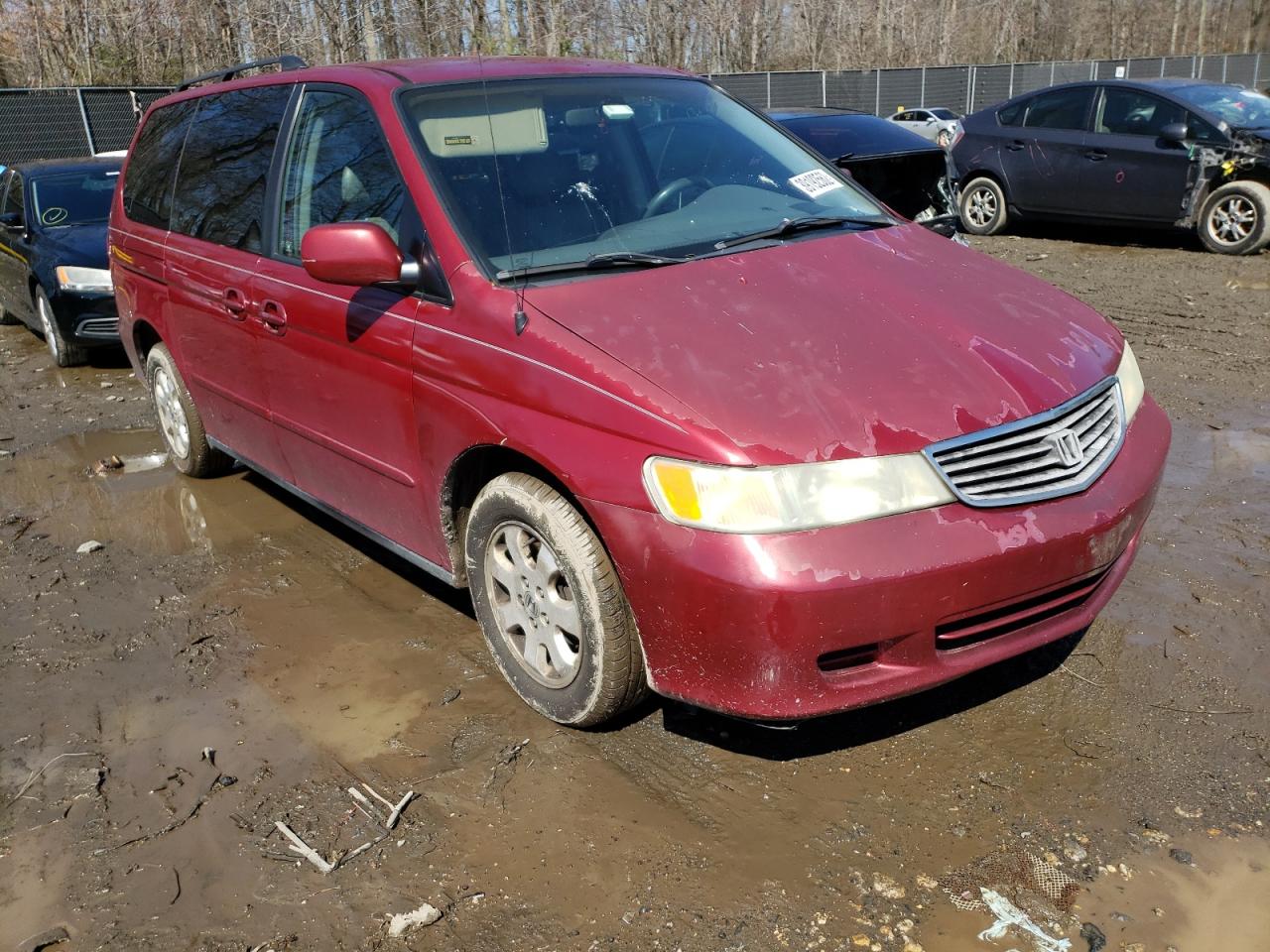 HONDA ODYSSEY EX 2003 with VIN 5FNRL18043B156671 - Photo from auction