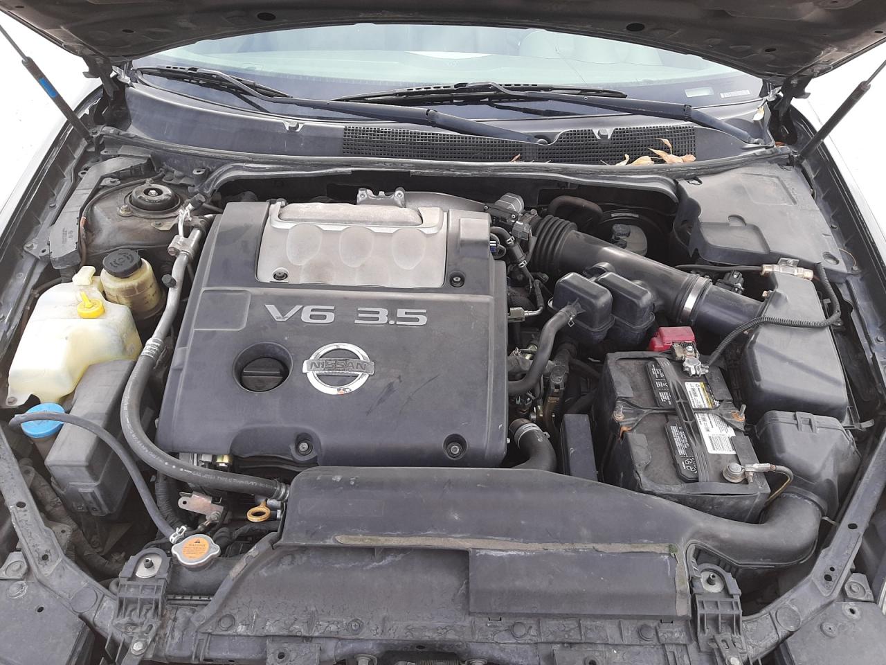 Фото 7 с аукциона – 2006 NISSAN MAXIMA SE с VIN 1N4BA41E96C843005