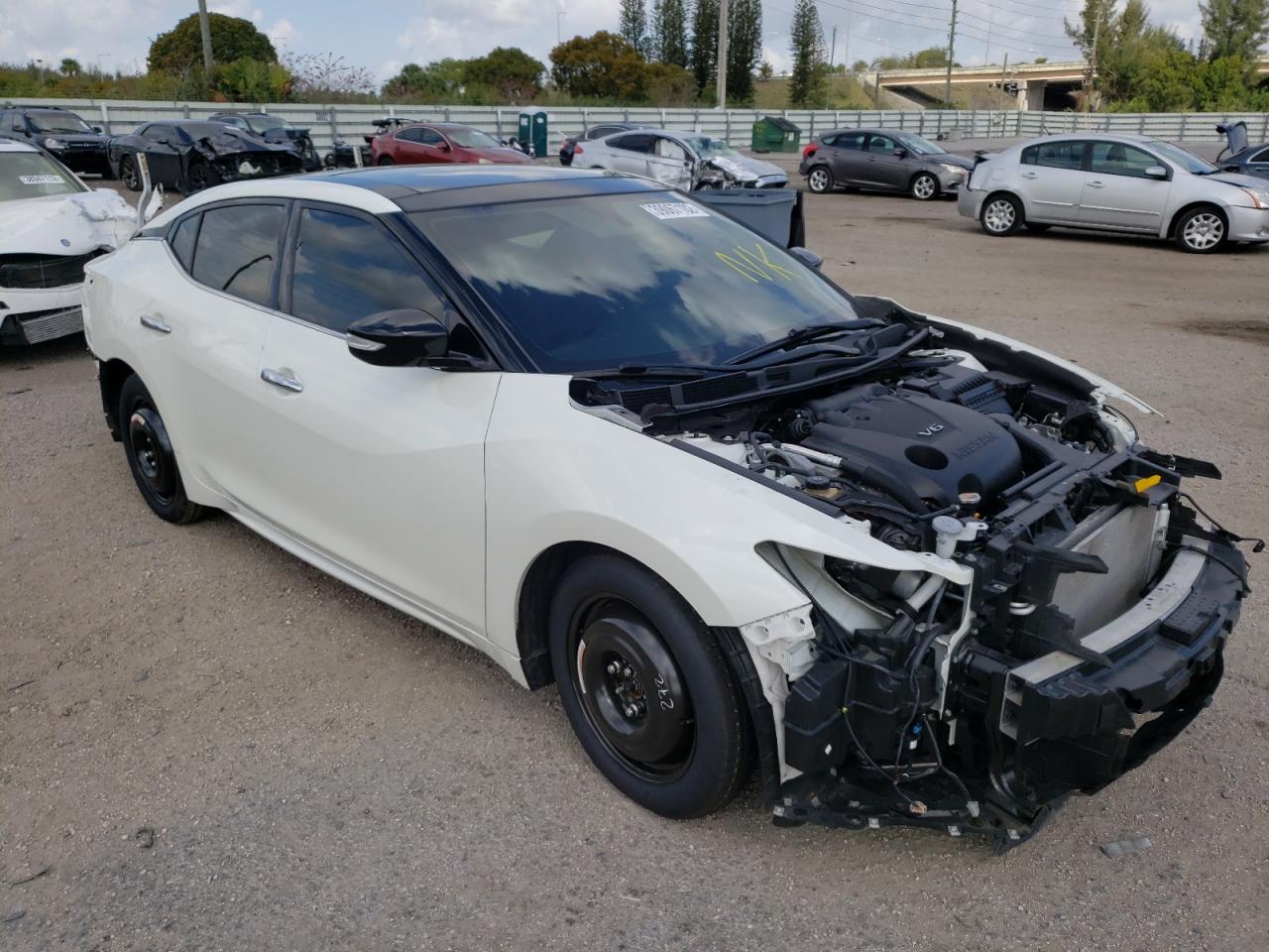 NISSAN MAXIMA S 2019 with VIN 1N4AA6AV7KC370819 - Photo from auction